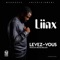 Levez-Vous - Liinx lyrics