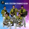 MIX Éxitos Inmortales - Single