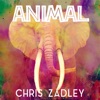 Animal - Single