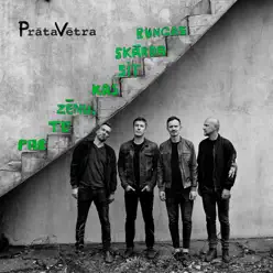 Par to zēnu, kas sit skārda bungas - Brainstorm Par to zēnu, kas sit skārda bungas - Brainstorm
