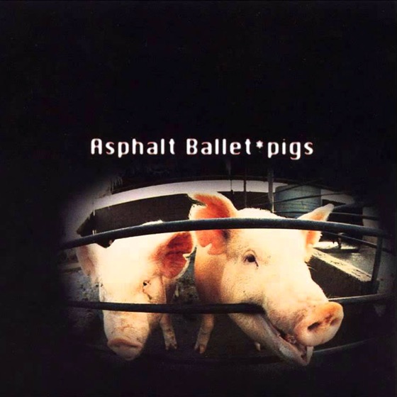 Cover artwork for Anybody