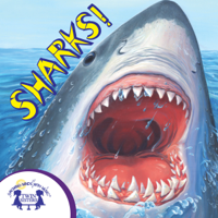 Irene Trimble - Know-It-Alls! Sharks artwork