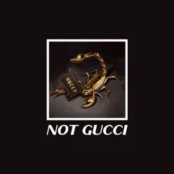 Not Gucci - Single - Lian Not Gucci - Single - Lian