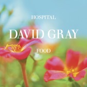 David Gray - Hospital Food - Radio Edit