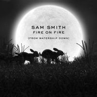 Sam Smith - Fire on Fire artwork
