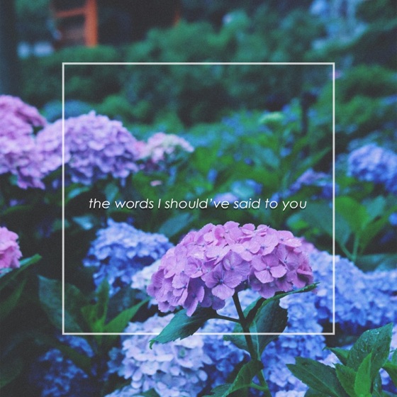 Cover artwork for The Words I Should've Said