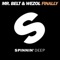 Finally - Mr. Belt & Wezol lyrics