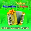 Cesare Vaia - A Media Luz (Tango)
