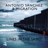 Lines In the Sand artwork