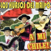 A Mi Chile! artwork