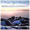 Train Your Brain: Mindfulness for Anxiety - Inner Harmony, Depression Reduction, Healing Meditation, No More Stress album lyrics, reviews, download