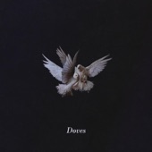 Doves - EP artwork