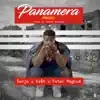 Panamera Music (feat. Peter Magnum & Ka$h) - Single album lyrics, reviews, download