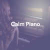 Calm Piano, 2018