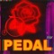 Pedal (feat. Trxphy Rxxm) - Taylor Beau lyrics