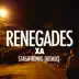 Renegades (Stash Konig Remix) song reviews