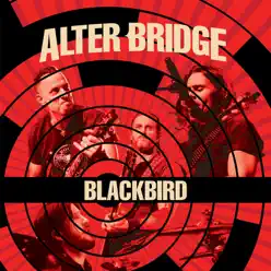 Blackbird (Live) - Single - Alter Bridge