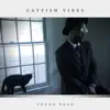Catfish Vibes - Single album lyrics, reviews, download