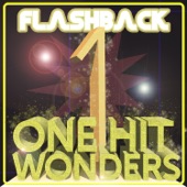 Flashback - One Hit Wonders artwork