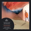 Michael & Levan & Stiven Rivic - Trespassing