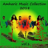 Amharic Music Collection 2018, Vol.1 artwork