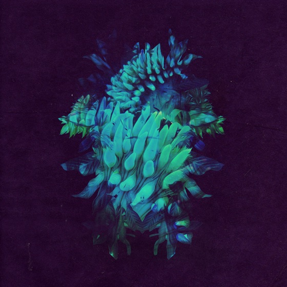 Cover artwork for Something Wonderful (feat. Ana Zimmer)