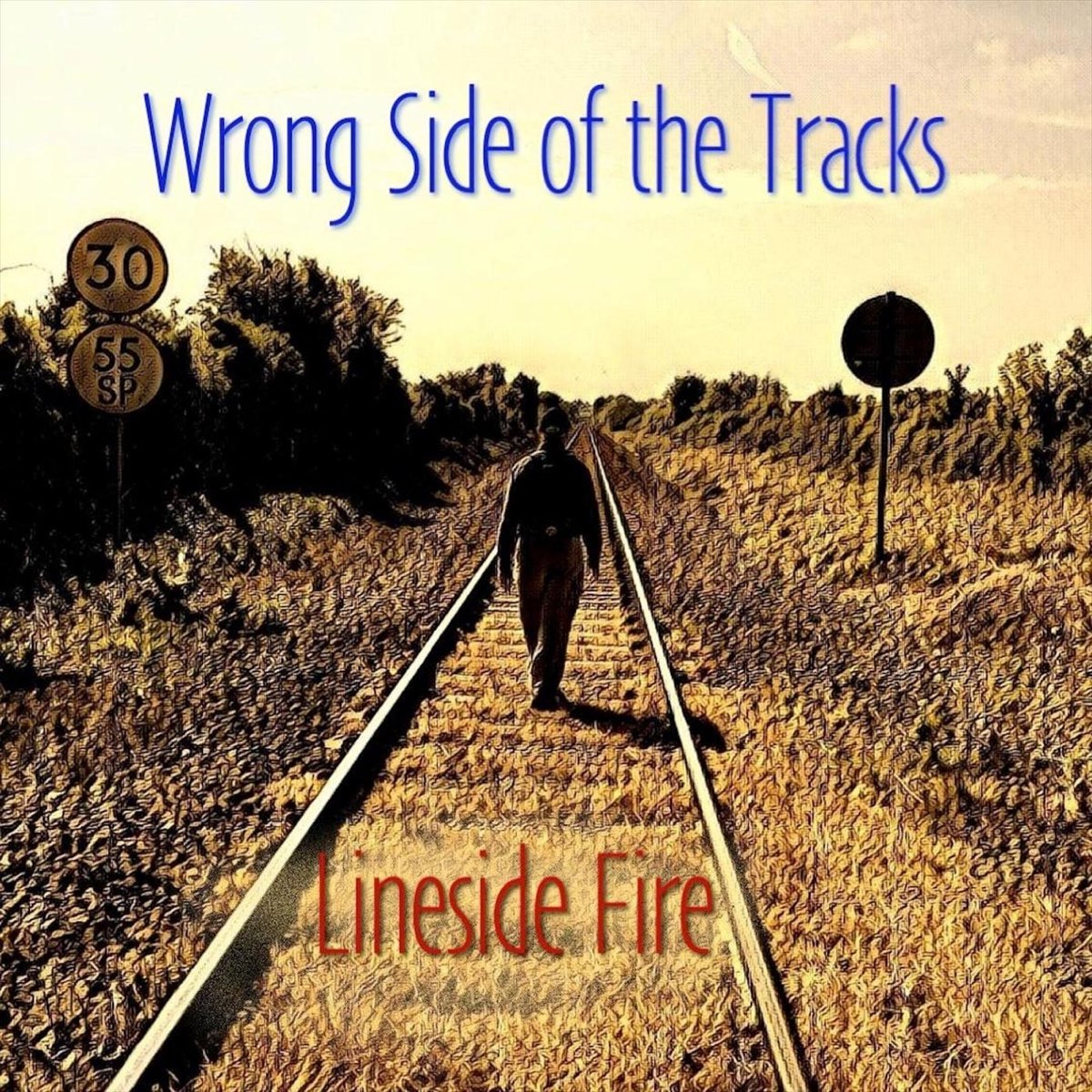 Песня the other side of paradise. Wrong Side of the tracks. On the wrong Side of the Road. Be born on the wrong Side of the tracks. Wrong Side of the track movie.