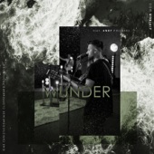 Wunder (feat. Andy Polinski) artwork