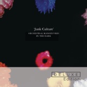 Junk Culture (Deluxe Edition)