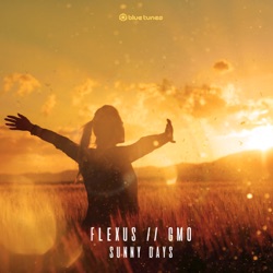 Flexus - Too Many Questions