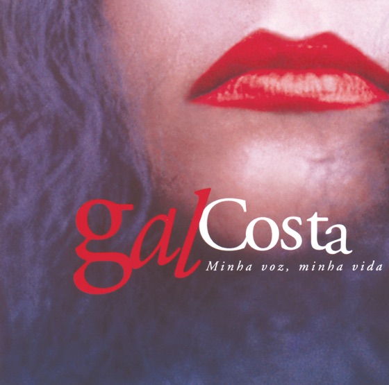 Cover artwork for Minha Voz, Minha Vida