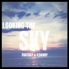 Looking the Sky - Single