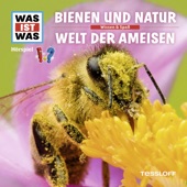59: Bienen und Natur / Welt der Ameisen artwork