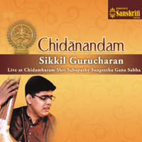 Sikkil Gurucharan - Chidanandam (Live at Chidambaram Shri Sabapathy Sangeetha Gana Sabha) artwork