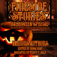 Essel Pratt, Amanda M. Lyons, Jim Goforth, Toneye Eyenot, Mark Woods, Michael Noe, Catt Dahman, Kitty Kane, Roma Gray & Michael Fisher - Fireside Stories: Halloween Special (Unabridged) artwork