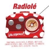 Radiolé 2013 artwork