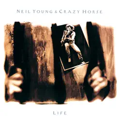 Life - Crazy Horse