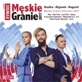 Męskie Granie 2017 (Live) artwork