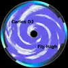 Stream & download Fly High - Single