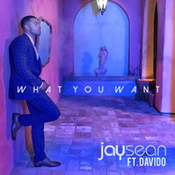 WHAT YOU WANT cover art