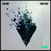 Fracture - Shlump