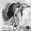 Stream & download Gypsy Water - Single