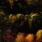 City on Fire - Tjolgtjar lyrics