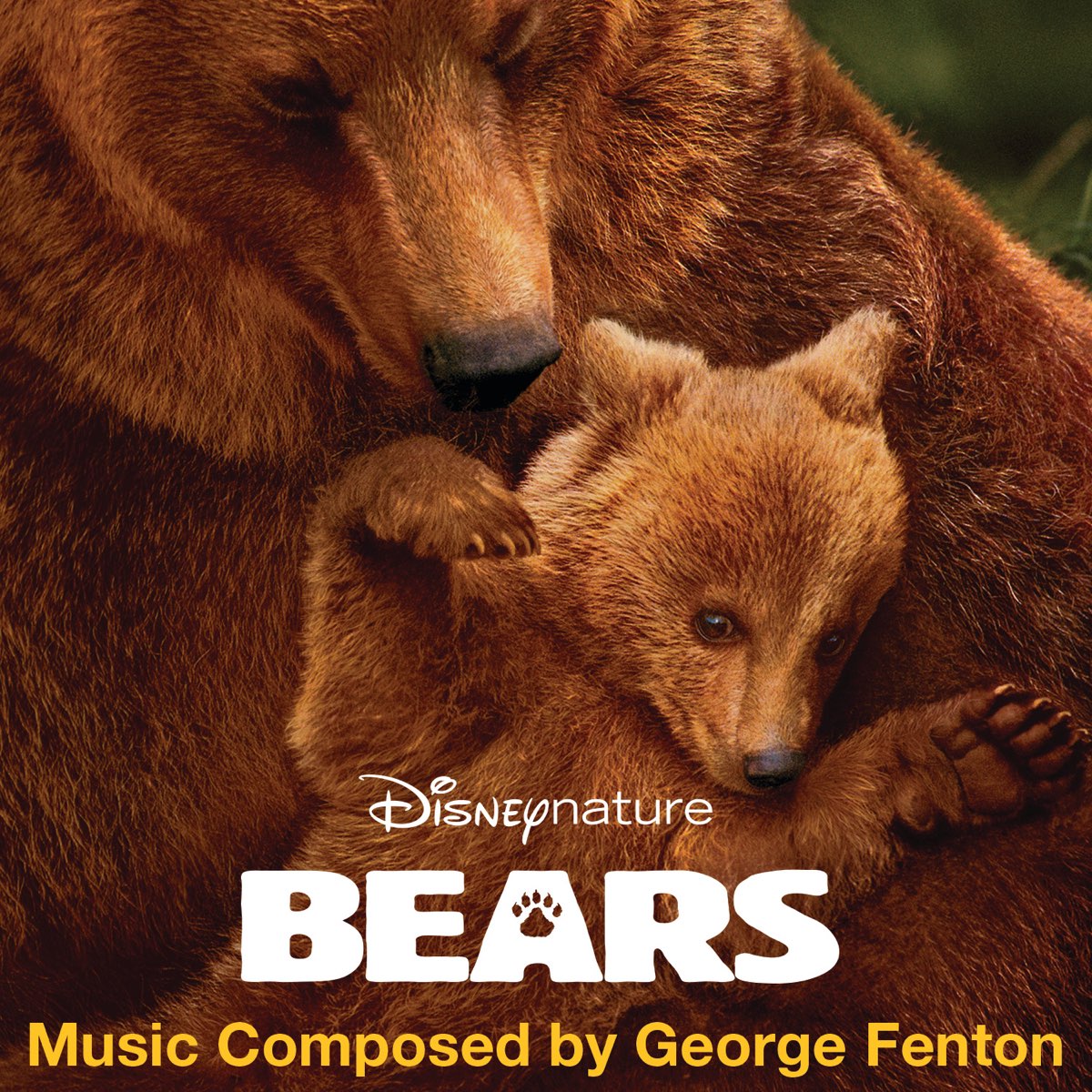 Bear music. Обложка, the Bear. Bear score Pater liebvem.