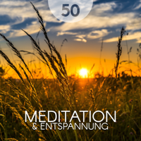 Naturgeräusche Meditationsmusik - 50 Meditation & Entspannung: Zen Musik für Meditation, Yoga, Phantasieren, ruhigen Schlaf artwork