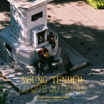 Lo Que Quieras - Single - Young Tender