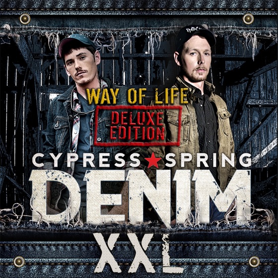 Cover artwork for Run Through It