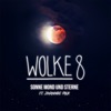 Sonne Mond und Sterne (feat. Johannes Falk) - Single