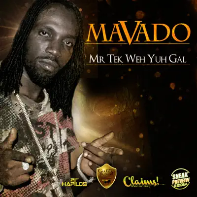 Mr. Tek Weh Yuh Gal - Single - Mavado