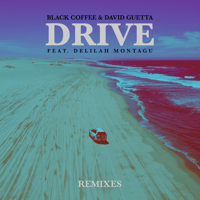 Black Coffee & David Guetta - Drive (feat. Delilah Montagu) [Remixes] artwork